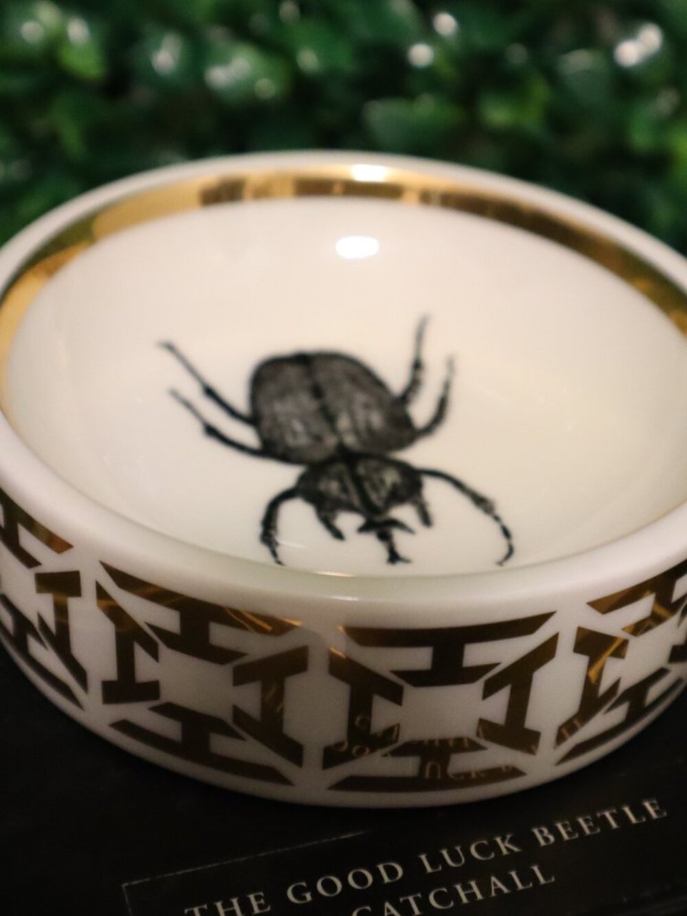 Johnathan Adler for India Hicks Beetle Collection, 3 Piece Set, Tray Catchall - Picture 4 of 8